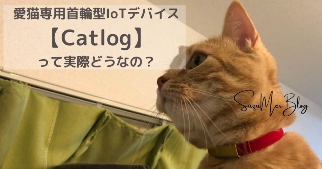 iot首輪 猫 トップ