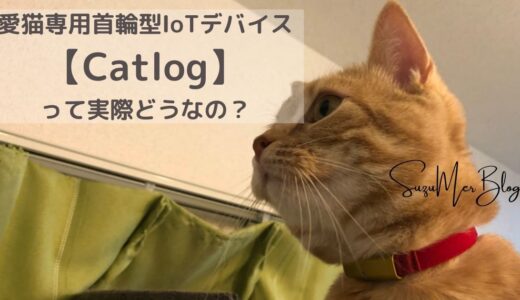 愛猫専用首輪型IoTデバイス「Catlog」って実際どうなの？【1週間使ってみたレビュー】
