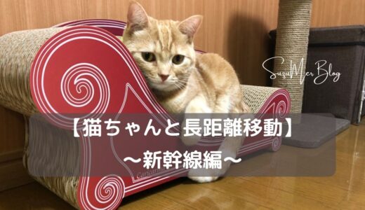 【猫ちゃんと長距離移動】新幹線編：猫の負担を軽減させるために知っておくべき5つのこと