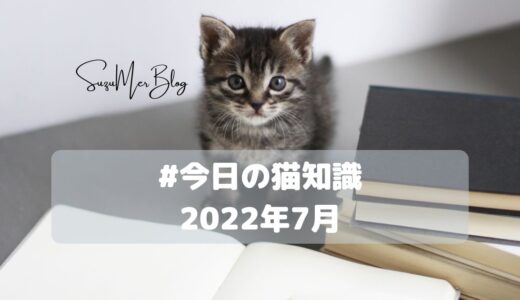【毎日更新中！】#今日の猫知識「猫の気持ちの表現方法」【2022年7月】