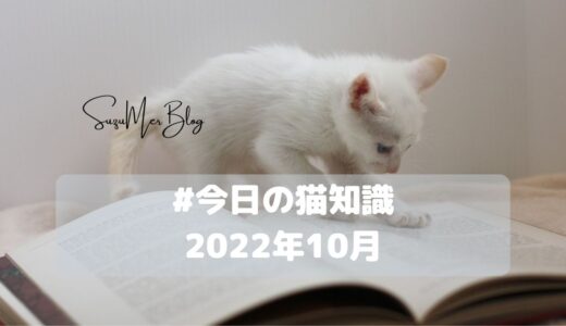 【毎日更新！】#今日の猫知識「猫のお迎えからお別れ」「猫と人間の食べ物」【2022年10月】